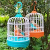 Điện Lồng Chim WEETW - Vẹt Nói Thực Tế, Đồ Chơi Giáo Dục Dạ Quang, Giá 102.300 VND 8