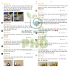Diệt kiến gián tận gốc 10ml - Hóa sinh học VN, an toàn, chỉ 10.000 VND 4