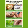 Diệt tổ mối hiệu quả: Gel mồi diệt mối 24 viên, dễ dùng, chỉ đặt vị trí, 99.999₫ 2