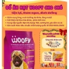 Đồ ăn hạt cho chó Woofy 500g Giá chỉ 28.000 VND, tặng móc khóa khi mua BigBellyPets