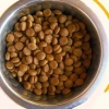 Đồ ăn hạt cho chó Woofy 500g Giá chỉ 28.000 VND, tặng móc khóa khi mua BigBellyPets 3