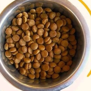 Đồ ăn hạt cho chó Woofy 500g Giá chỉ 28.000 VND, tặng móc khóa khi mua BigBellyPets 3 Đồ ăn hạt cho chó Woofy 500g Giá chỉ 28.000 VND, tặng móc khóa khi mua BigBellyPets 3