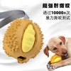 Đồ Chơi Chó Cao Su Vệ Sinh Răng, Nhồi Thức Ăn Siêu Bền, Gai Tự Nhiên cho Chó Nhỏ Lớn 7