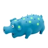 Đồ chơi cho chó Screaming Pig Hair Thorn Spotted Pig - Giảm buồn chán, tự chơi, tiện dụng, giảm stress, giá chỉ 441.677 VND 6