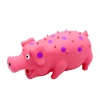 Đồ chơi cho chó Screaming Pig Hair Thorn Spotted Pig - Giảm buồn chán, tự chơi, tiện dụng, giảm stress, giá chỉ 441.677 VND 8