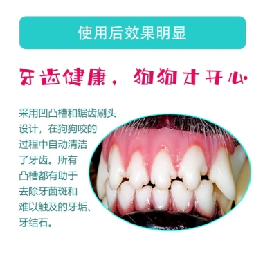 Đồ chơi đánh răng cho chó lớn - Chống gặm, loại bỏ hơi thở hôi, giá 170.140₫ 3