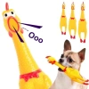 Đồ chơi gà kêu cho bé - Gà la hét, bấm bóp phát tiếng kêu, giá ưu đãi 50.000đ 5