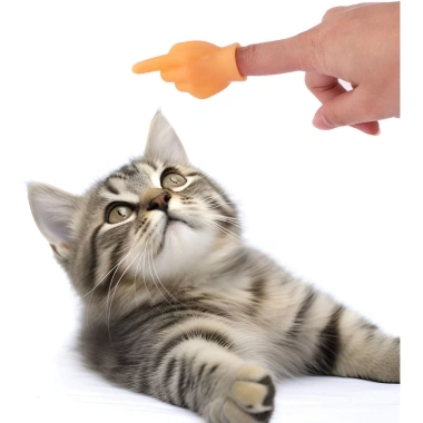 Đồ chơi mèo tương tác silicone mini, an toàn cho mèo trong nhà - Giá chỉ 113.630₫