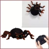Đồ chơi robot nhện điều khiển từ xa - Ánh sáng, âm thanh thực tế, giáo dục sáng tạo, giá ưu đãi 562.100₫ 7