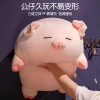 Đồ chơi siêu mềm lợn lớn, gối ngủ Heo con búp bê Quà sinh nhật bé gái 245k 4