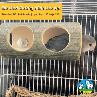 Đồ chơi vẹt hamster Ống chui tre tự nhiên - Giảm stress, gặm an toàn, chống buồn chán