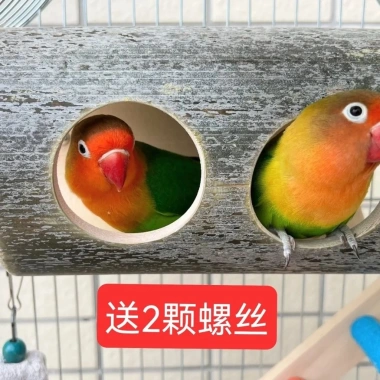 Đồ chơi vẹt hamster Ống chui tre tự nhiên - Giảm stress, gặm an toàn, chống buồn chán