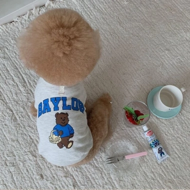 Đồ đôi thú cưng cotton thoáng mát - Shiba Bully Pháp Golden Bichon cho mèo & chó mọi size, 198.244₫ 3 Đồ đôi thú cưng cotton thoáng mát - Shiba Bully Pháp Golden Bichon cho mèo & chó mọi size, 198.244₫ 3