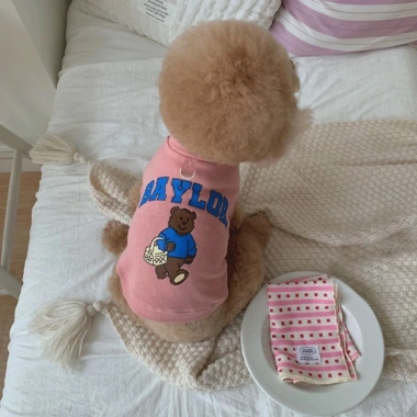 Đồ đôi thú cưng cotton thoáng mát - Shiba Bully Pháp Golden Bichon cho mèo & chó mọi size, 198.244₫