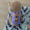 Đồ đôi thú cưng cotton thoáng mát - Shiba Bully Pháp Golden Bichon cho mèo & chó mọi size, 198.244₫ 6