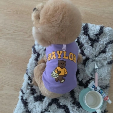 Đồ đôi thú cưng cotton thoáng mát - Shiba Bully Pháp Golden Bichon cho mèo & chó mọi size, 198.244₫