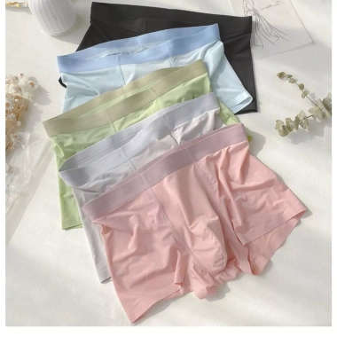 Đồ Lót Cặp Đôi Ice Silk Nhật Bản Ngọt Ngào – Bộ Nữ + Boxer Nam, Giá 210.167₫