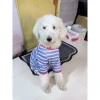 Đồ mặc nhà kẻ sọc 4 chân cho chó trung đại - Chống rụng lông, chống liếm, nhẹ thoáng, chỉ 369k 7