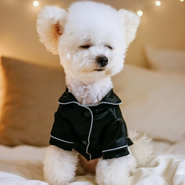 Đồ ngủ kiểu Pháp cho mèo chó nhỏ 2 chân, cotton mỏng nhẹ, nút bấm giảm lông