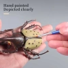 Đồ trang trí côn trùng NLINNI - Bọ cánh cứng Longhornedbee, tượng Dynastes sống động cho sân vườn & máy tính, 58.300₫ 9
