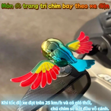 Đồ trang trí ô tô chim bay vẫy cánh – Phụ kiện gương chiếu hậu xe máy, xe điện, giảm giá 36.900₫