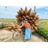 Đó tre trang trí Tết - Hàng cứng đẹp làng nghề, giá chỉ 40.000đ giảm từ 52.000đ 7