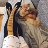 Đôi Chân Gà Ngộ Nghĩnh - Tất Dài Giảm Béo Thể Thao Nam Nữ, Quà Xuân Hè 3