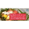 Đôi nến hoa sen bơ Organic Minh Khang 2 cốc, cháy 24h dâng phật, giá 44.000 6