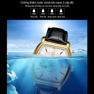 Đồng hồ cơ nam Chenxi CX8.815A Automatic dây da cao cấp, chống nước, bảo hành 1 năm 6