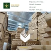 Đồng Hồ Treo Tường Sừng Hươu Cao Cấp Kim Trôi V364 Giá Ưu Đãi 890.000 9