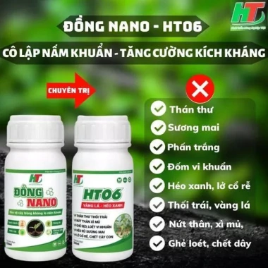 Đồng Nano HT06 - Xử lý thán thư, sương mai, héo xanh, phấn trắng, gỉ sắt, giá chỉ 85.000đ 2