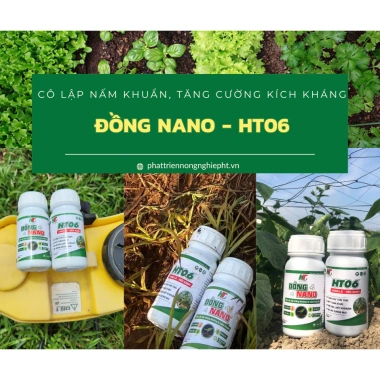 Đồng Nano HT06 - Xử lý thán thư, sương mai, héo xanh, phấn trắng, gỉ sắt, giá chỉ 85.000đ 8