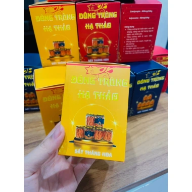 Đông Trùng Hạ Thảo 10g Hộp Quà Tết 2.026 - Giảm 19% - Tăng sức đề kháng