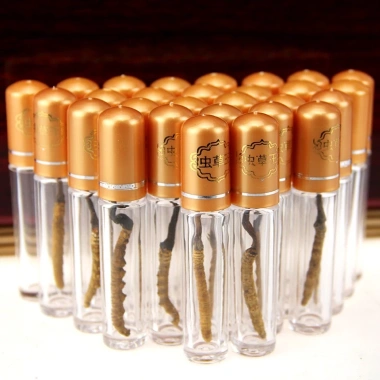Đông Trùng Hạ Thảo 1.5gr Khô Nguyên Con To - Ngon, Cao Cấp, Bồi Bổ Cơ Thể 199.000 VND 3
