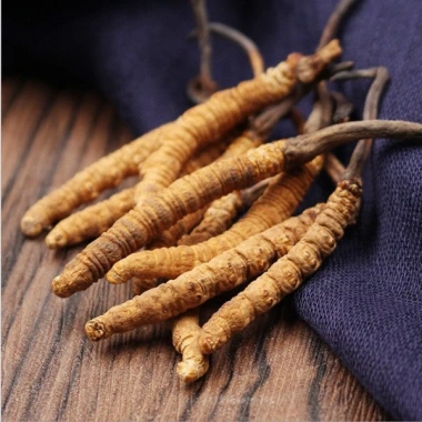 Đông Trùng Hạ Thảo 1.5gr Khô Nguyên Con To - Ngon, Cao Cấp, Bồi Bổ Cơ Thể 199.000 VND 5