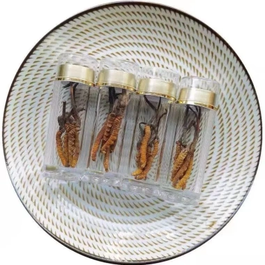 Đông Trùng Hạ Thảo 1.5gr Khô Nguyên Con To - Ngon, Cao Cấp, Bồi Bổ Cơ Thể 199.000 VND 7