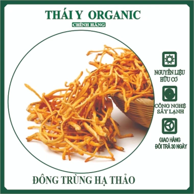 Đông Trùng Hạ Thảo 200g Sợi To Sấy Khô Cao Cấp Bồi Bổ Cơ Thể Thái Y Organic - 28.319₫
