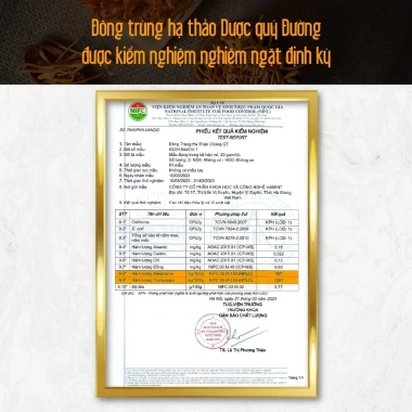 Đông Trùng Hạ Thảo Bán Tự Nhiên Dược Quý Đường – Combo Sấy Khô Bồi Bổ Cơ Thể, Bổ Phế, Ích Gan Thận – Giá 2.524.000 VNĐ 4
