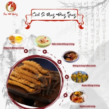 Đông Trùng Hạ Thảo Bhutan Nguyên Con - Hộp Vàng Sang Trọng, Quà Biếu Tặng, Giá Ưu Đãi 1.599.000
