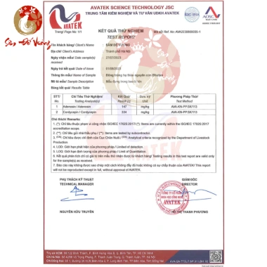 Đông Trùng Hạ Thảo Bhutan Nguyên Con - Hộp Vàng Sang Trọng, Quà Biếu Tặng, Giá Ưu Đãi 1.599.000