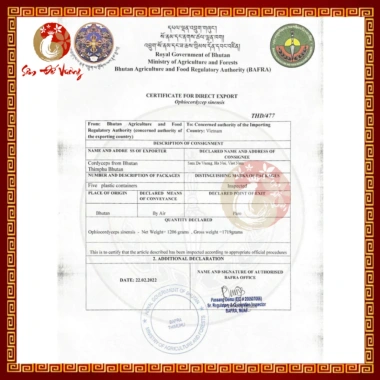 Đông Trùng Hạ Thảo Bhutan Size Đại Hộp Vàng Sang Trọng - Tăng Cường Sức Khỏe, Quà Tặng Sâm Đế Vương OFFICIAL 2.179.000 VND