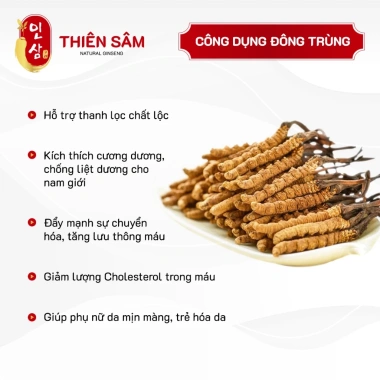 Đông Trùng Hạ Thảo Bhutan Thượng Hạng Nguyên Con Tây Tạng – Thực Phẩm Vàng Tăng Cường Sức Khỏe 379k