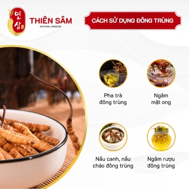 Đông Trùng Hạ Thảo Bhutan Thượng Hạng Nguyên Con Tây Tạng – Thực Phẩm Vàng Tăng Cường Sức Khỏe 379k