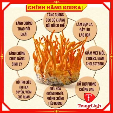Đông trùng hạ thảo Bio 60 gói hộp gỗ - Nước đông trùng Hàn Quốc Tranglinhkorea