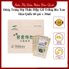 Đông Trùng Hạ Thảo Bio Tem Hàn Quốc 60g 30ml - Hộp Gỗ - 1.000.000, tăng đề kháng