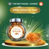 Đông Trùng Hạ Thảo Chính Hãng Thượng Hạng Sấy Thăng Hoa - The Nest House Giá ưu đãi 120.000đ