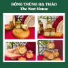 Đông Trùng Hạ Thảo Chính Hãng Thượng Hạng Sấy Thăng Hoa - The Nest House Giá ưu đãi 120.000đ 4