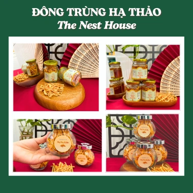 Đông Trùng Hạ Thảo Chính Hãng Thượng Hạng Sấy Thăng Hoa - The Nest House Giá ưu đãi 120.000đ 4