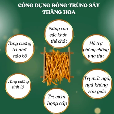 Đông Trùng Hạ Thảo Chính Hãng Thượng Hạng Sấy Thăng Hoa - The Nest House Giá ưu đãi 120.000đ 7