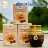 Đông Trùng Hạ Thảo Đảng Sâm, Mật Ong Rừng U Minh – Bồi Bổ Sức Khỏe, Tăng Đề Kháng, Giảm Mệt Mỏi, Ngủ Ngon 2